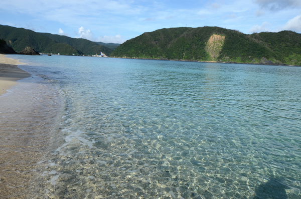 子連れ国内旅行におすすめ、奄美大島・加計呂麻島