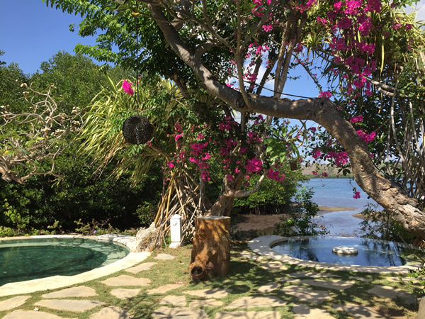 バリ島西部で温泉とマングローブ。そして…なにもしない休日を
